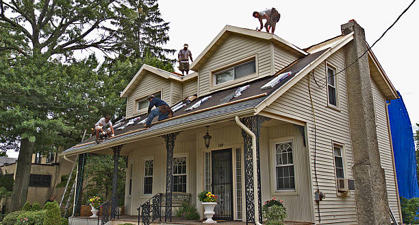Best Storm Damage Roof Repair  in Willcox, AZ